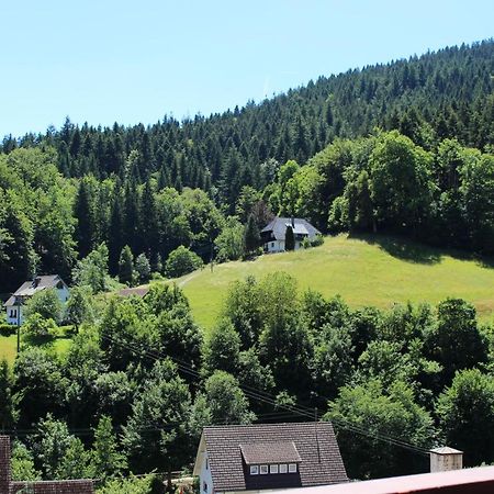 Ferienwohnung Schwarzwaldblick Bad Rippoldsau-Schapbach Exterior foto
