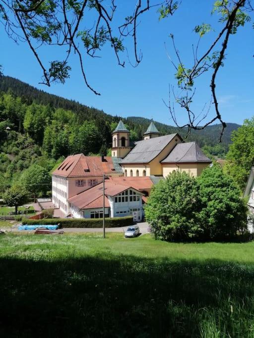 Ferienwohnung Schwarzwaldblick Bad Rippoldsau-Schapbach Exterior foto