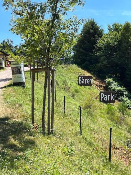 Ferienwohnung Schwarzwaldblick Bad Rippoldsau-Schapbach Exterior foto